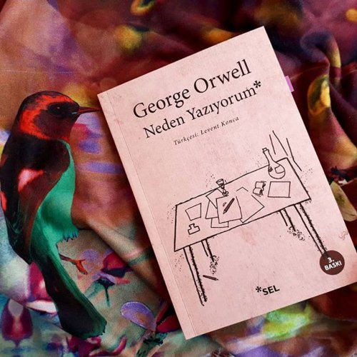 NEDEN YAZIYORUM GEORGE ORWELL