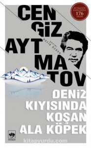 DENİZ KIYISINDA KOŞAN ALA KÖPEK