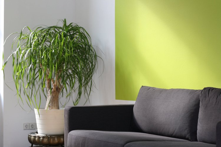 Modern grey couch and pillows