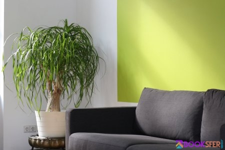 Modern grey couch and pillows