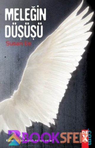 Meleğin Düşüşü - Susan Ee | PDF İNDİR