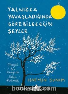 Yalnızca Yavaşladığında Görebileceğin Şeyler - Haemin Sunim | PDF İNDİR