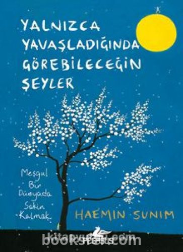 Yalnızca Yavaşladığında Görebileceğin Şeyler - Haemin Sunim | PDF İNDİR