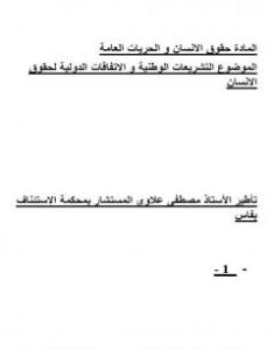 تحميل كتاب التشريعات الوطنية والاتفاقات الدولية لحقوق الانسان pdf مصطفى علاوي