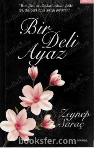 Bir Deli Ayaz - Zeynep Saraç | PDF İndir