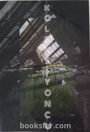 Koleksiyoncu - İncigül Bayten | PDF İndir