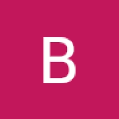 Berna Çıtlık 1