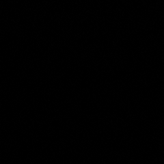 Ayşegül Ecik